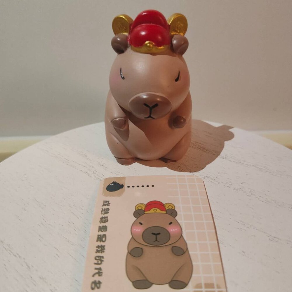 Capybara set💰